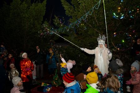 pozdrav zimi in praznik luči _ 2024 (4)